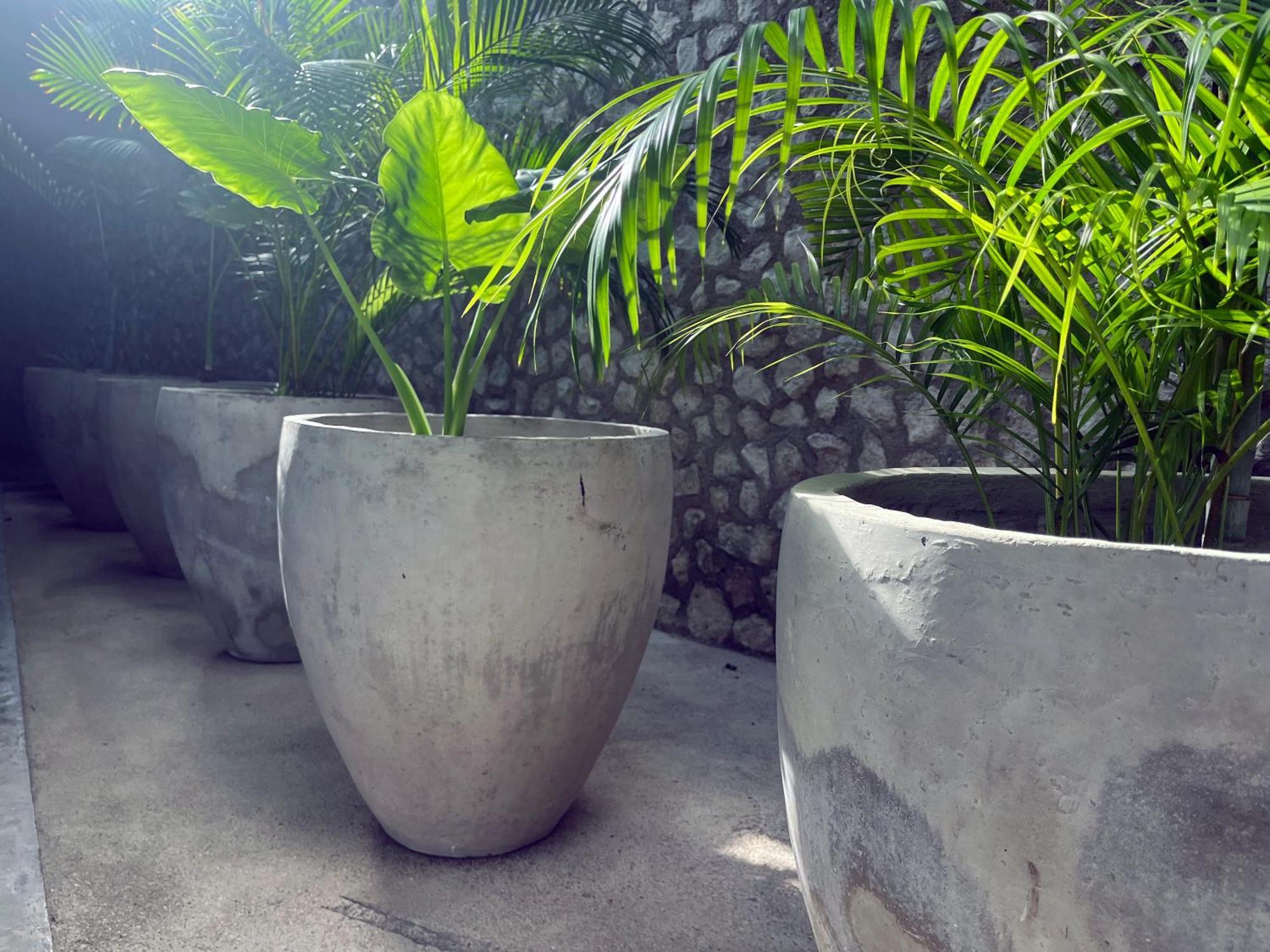 Bau Tulum Hotel Exterior photo